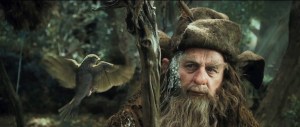 radagast-hummingbird