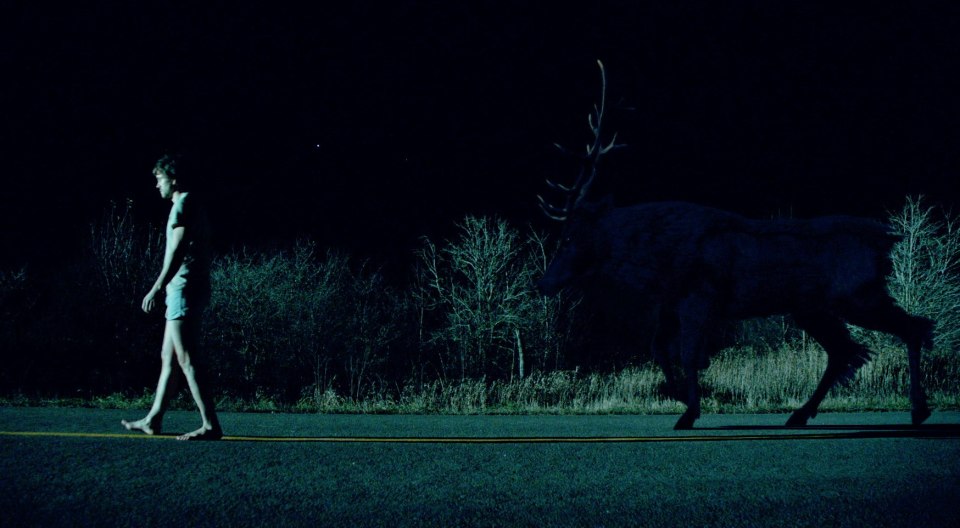 hannibal-season-1-the-stag