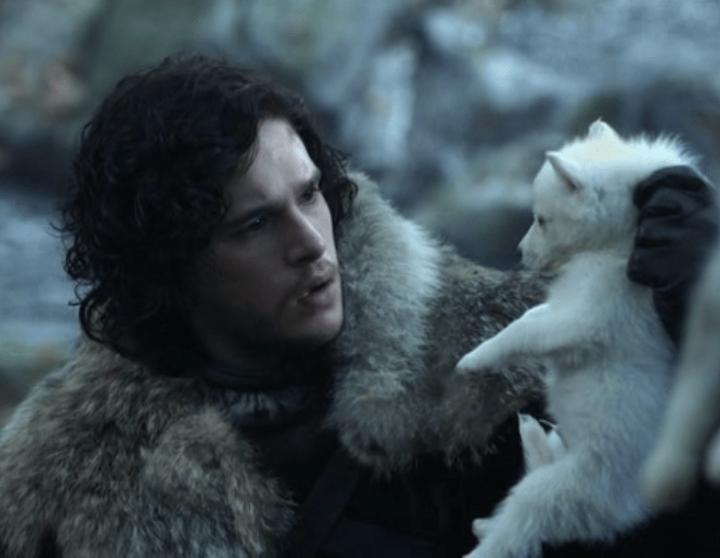 jon snow and ghost puppy